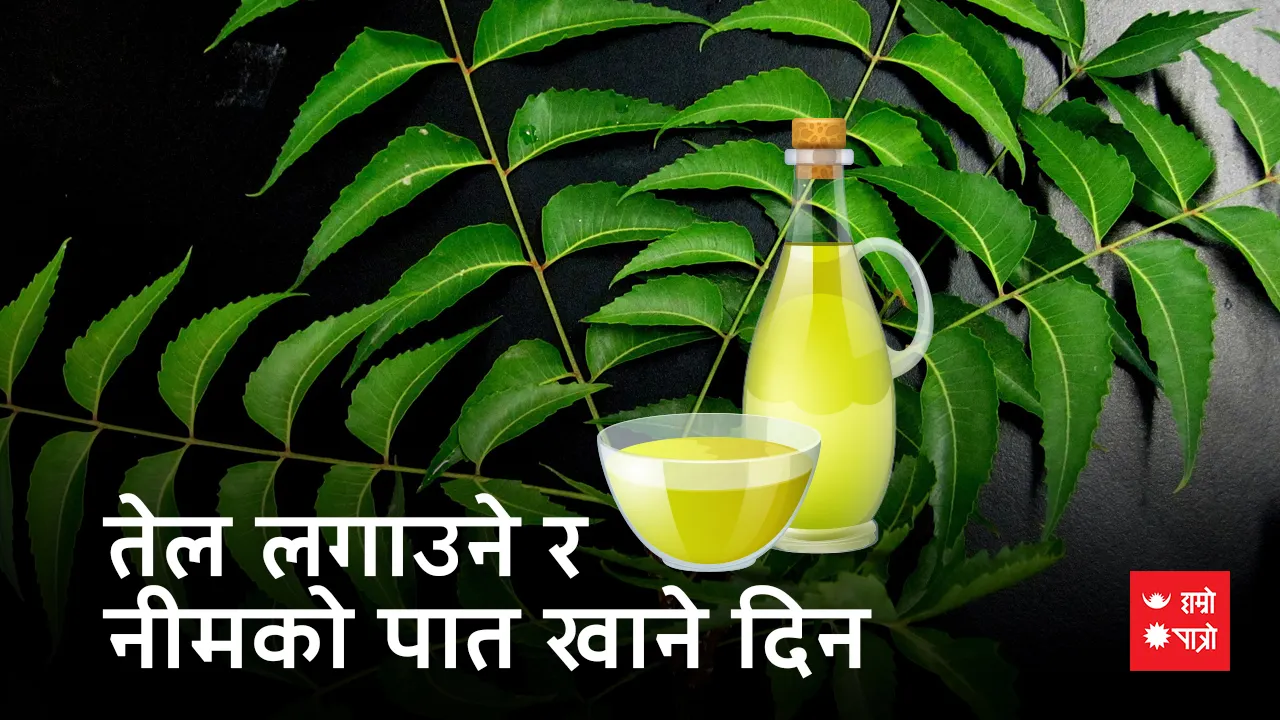 तेल लगाउने र नीमको पात खाने दिन/विश्व जल दिवस
