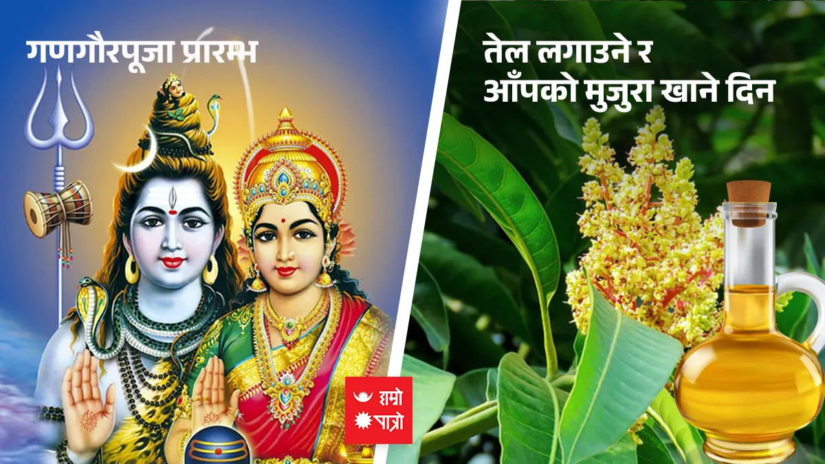 गणगौर पूजा प्रारम्भ । तेल लगाउने र आँपको मुजुरा खाने दिन
